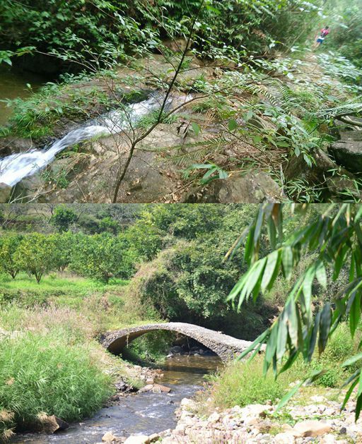 云山秀色 我愿在最美好的时光跑向你——记CBN从化影古越野赛