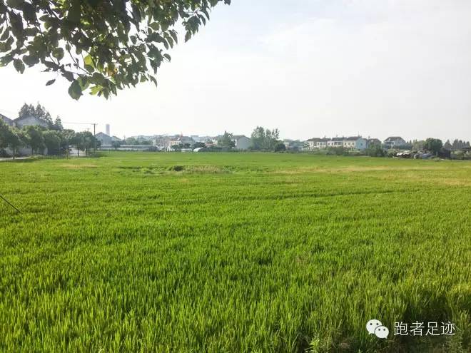 跑者 | 独自奔跑300公里上海至南京，一个纯粹跑者的独白