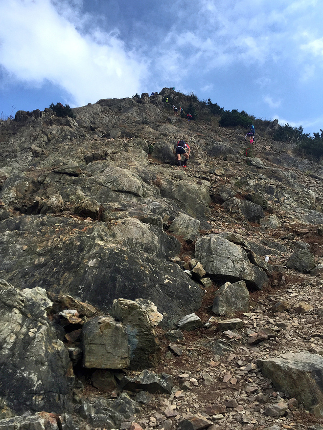 他们管这叫秋游 -众兽多图版