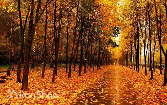 训练 | 爱上秋天跑步的理由