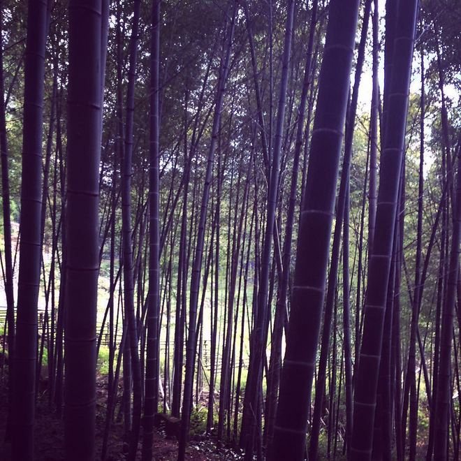 「也许我比自己想承认的还要脆弱」