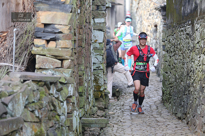 他们管这叫秋游 -众兽多图版