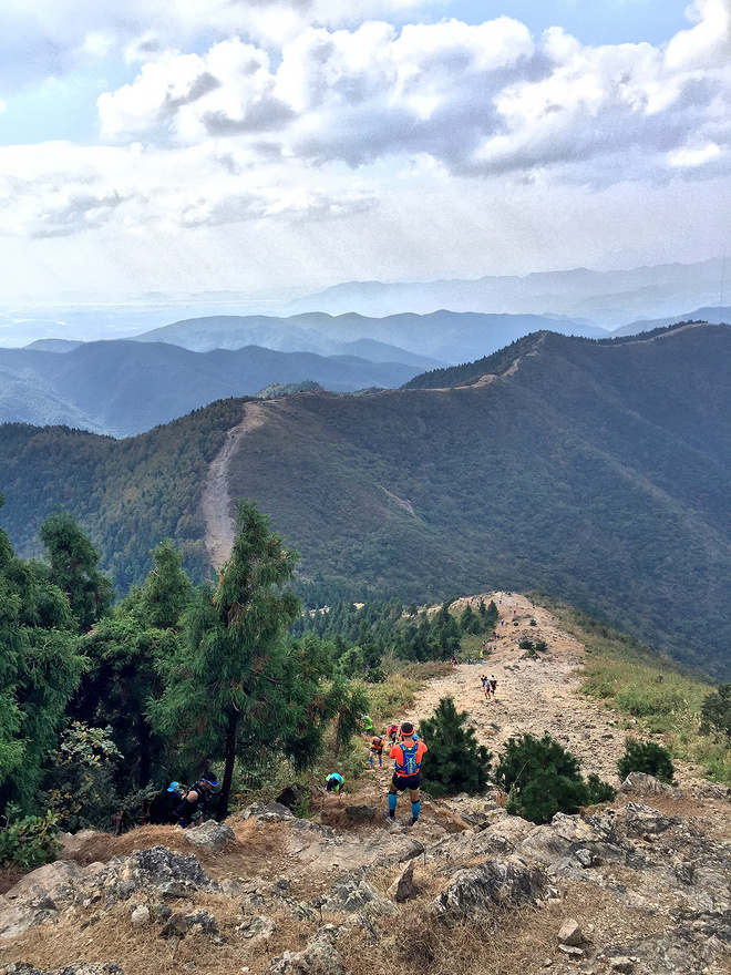 他们管这叫秋游 -众兽多图版