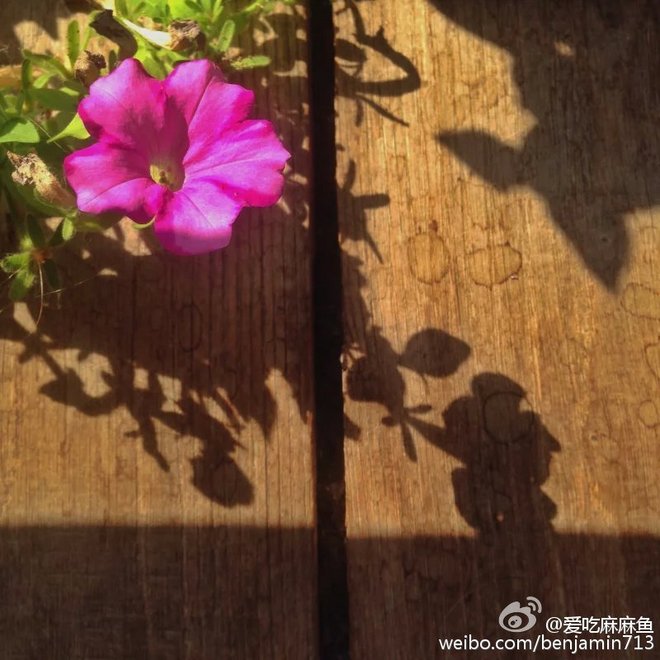 从 Maxi Race的失落到Orobie Ultra Trail的兴奋不已（转自微博）