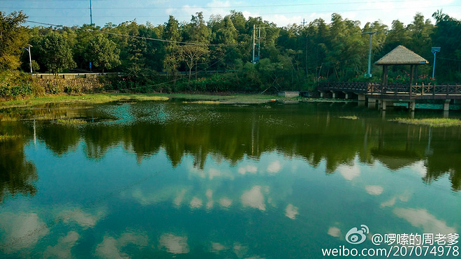 2015宁海50KM越野挑战赛小记