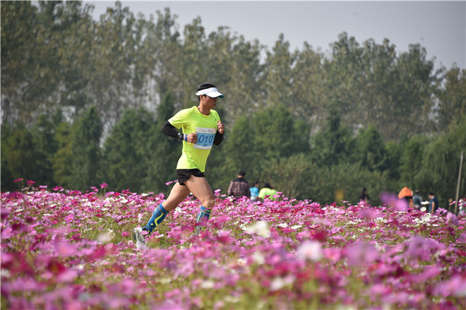 钱江追潮马拉松告诉你：最“潮”马拉松长什么样？