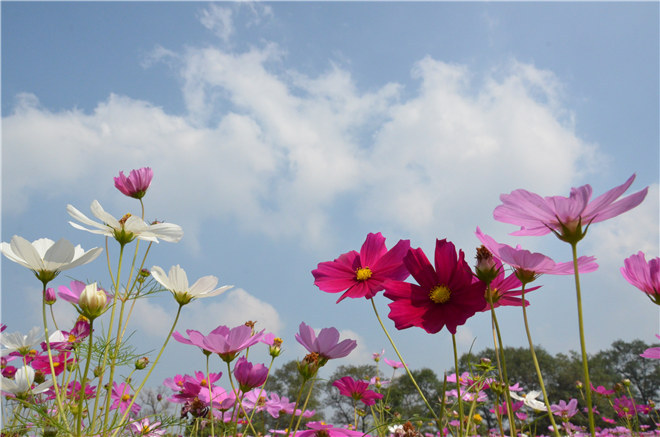 钱江追潮马拉松告诉你：最“潮”马拉松长什么样？