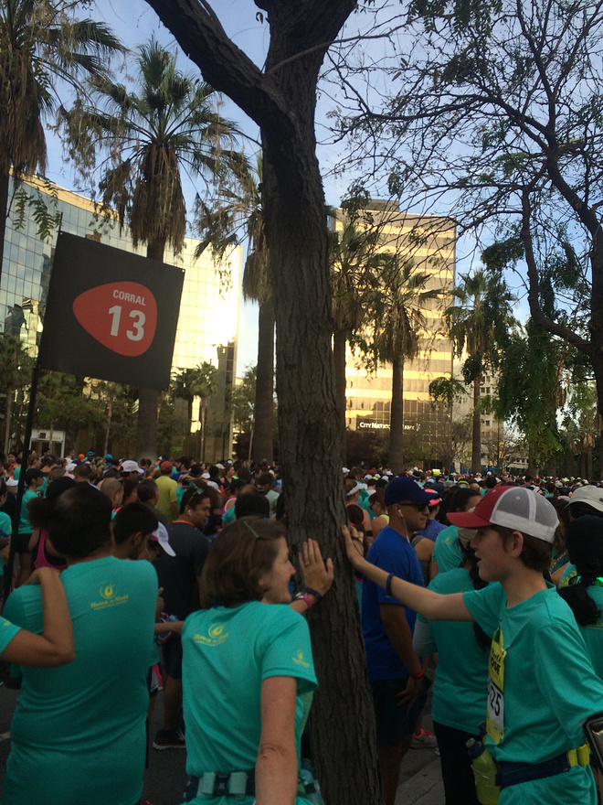 记个人首次海外半马之流水账——2015 San Jose Rock ‘n’ Roll MARATHON