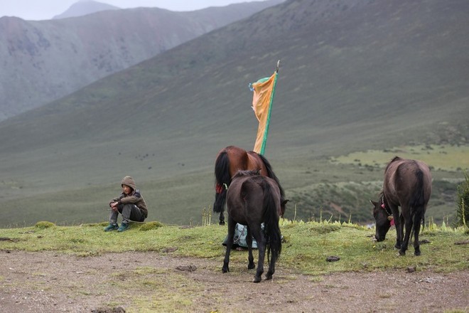一场没有相见的相遇（下篇）