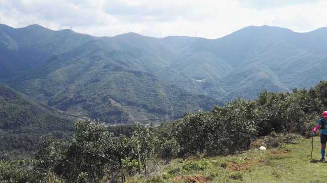 母豬峰，阿姨會再來過！