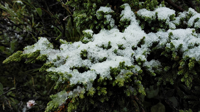 一场没有相见的相遇（下篇）