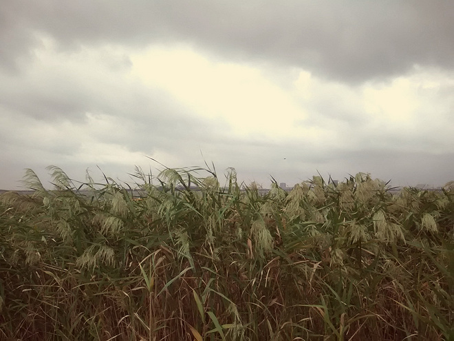 【众测报告】待我八块腹肌时, 再来驾驭你— LP压缩衣测评