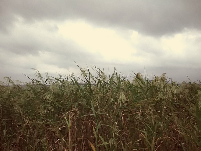 就像阳光穿破黑夜  --- 我的滴水湖24小时接力赛全记录