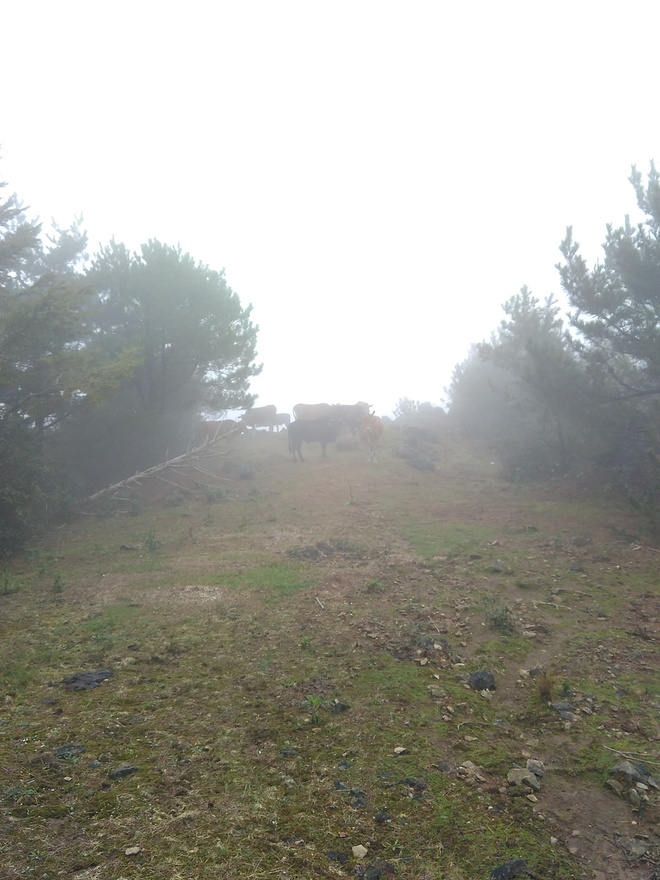 括苍论剑 山的邀约 - 记临海五日行，体验比赛新方式