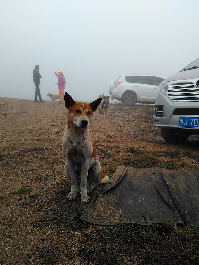 括苍论剑 山的邀约 - 记临海五日行，体验比赛新方式