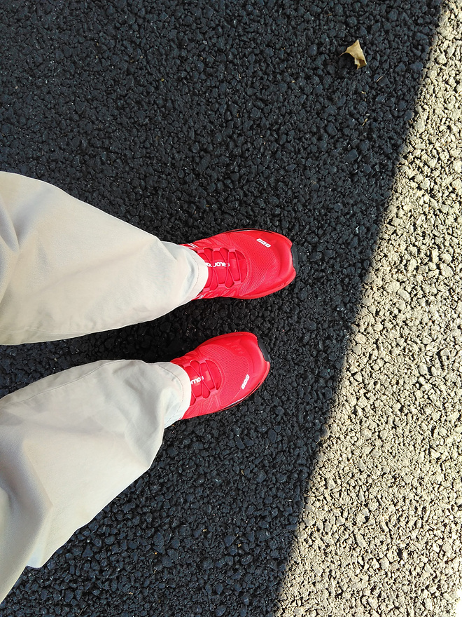 给双脚装上飞翔的翅膀 – 致胜下坡 Salomon S-Lab Wings 初体验