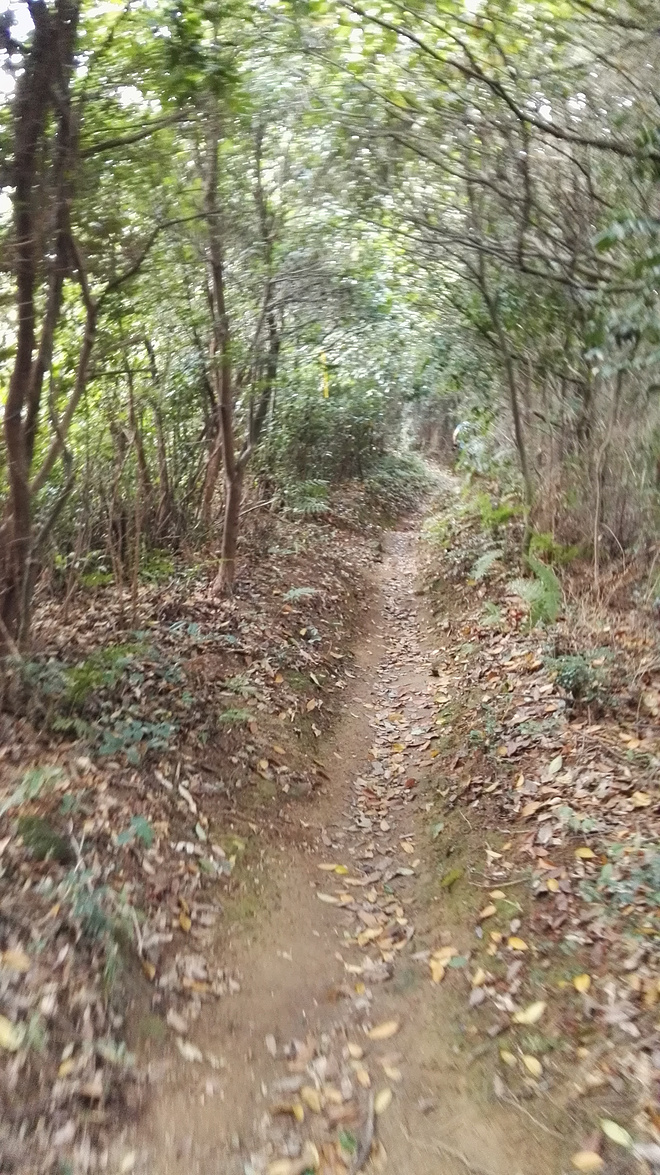 Be Your Own Hero - 宁海50KM越野