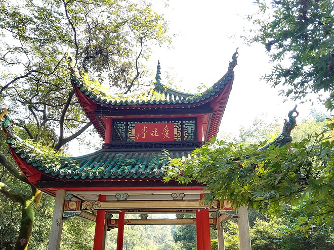 跑游记|爱长沙，辣就跑——记TCL2015长沙国际马拉松赛