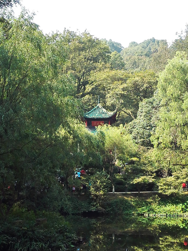 跑游记|爱长沙，辣就跑——记TCL2015长沙国际马拉松赛