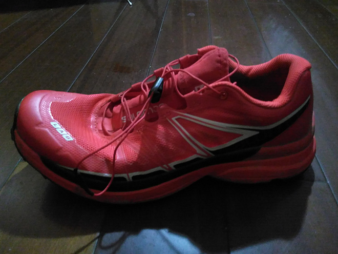 给双脚装上飞翔的翅膀 – 致胜下坡 Salomon S-Lab Wings 初体验