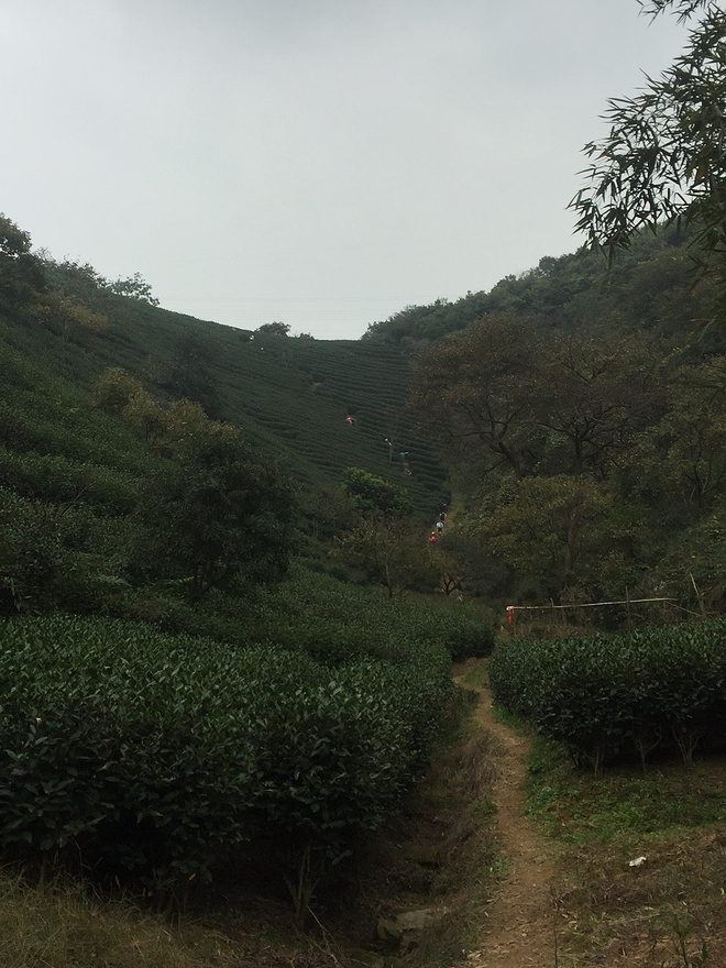 降降西野行——2015杭州西野追狼挑战赛纪实