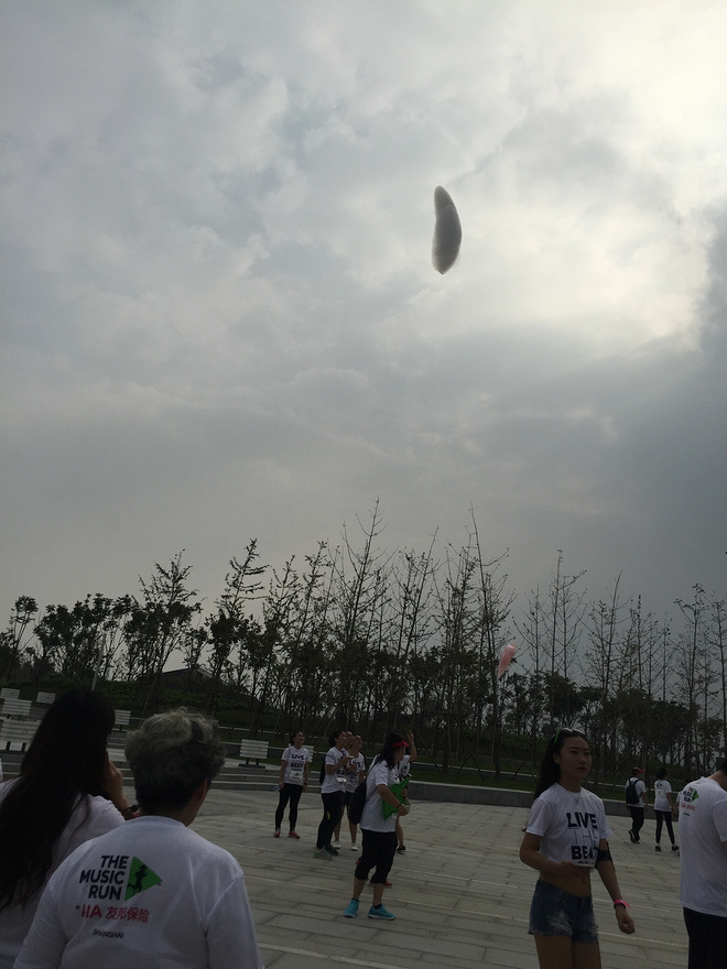 【众测报告】2015年10月24日参加上海爱乐跑