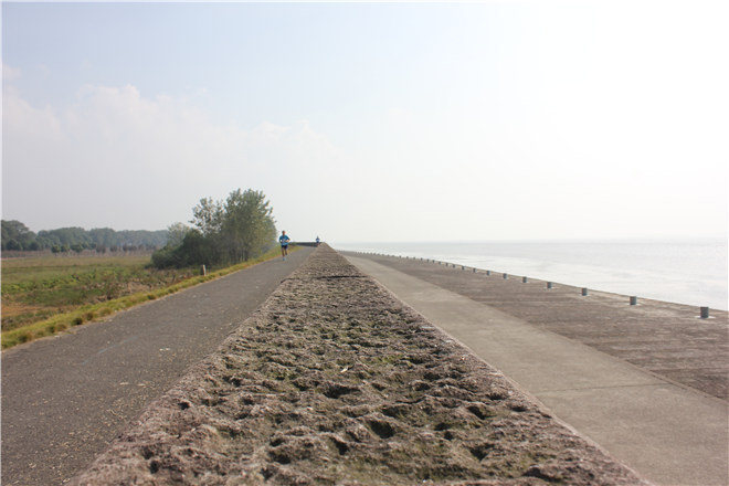 钱江追潮马拉松告诉你：最“潮”马拉松长什么样？