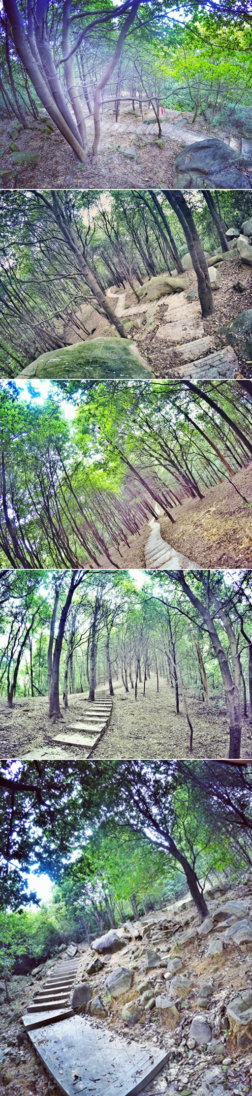 妆点腰间的高颜值补水魔术袋——Sotoas Inca Trail腰包测评