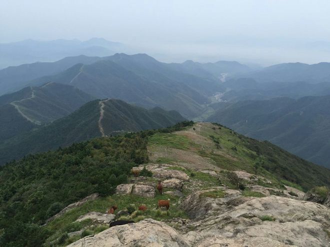 此间的大叔- 记0829宁海越野夏令营活动