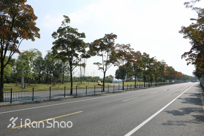 侬好上马 | 通关攻略，上马路线全方位的展示