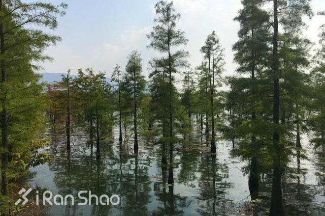 回顾 | 一场小而美的马拉松值得体验，常熟半马