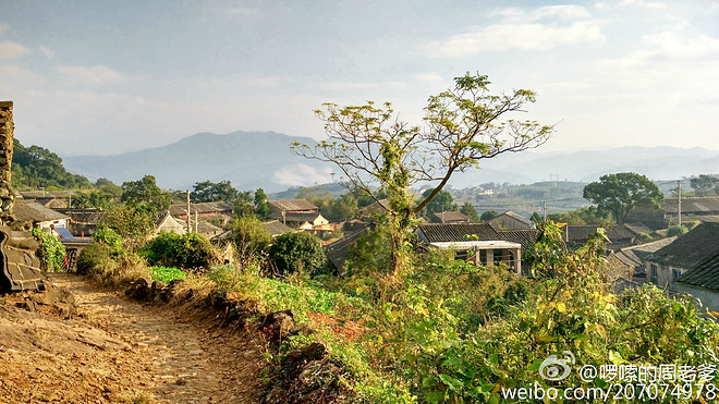 2015宁海50KM越野挑战赛小记