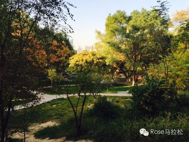 梦想穿过了西域 | 纪念丝路之上的敦煌马拉松