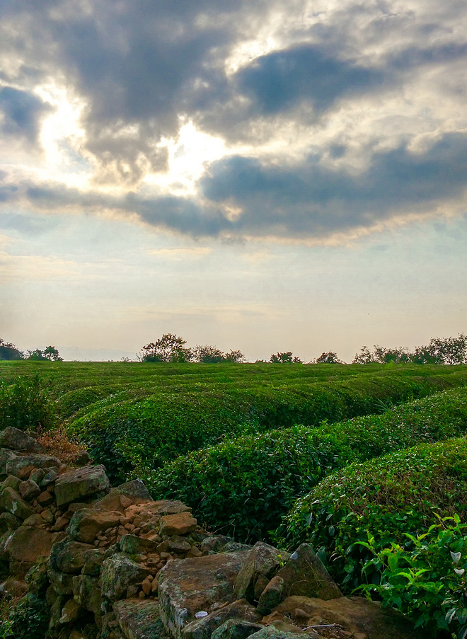 回国后心心念念的第一个比赛-宁海2015