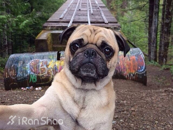 萌妹夜间出（约）行（跑），教你远离“狼人”Gank！