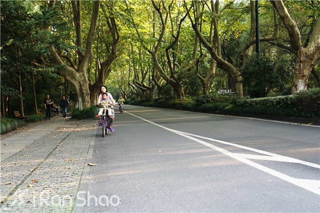 杭州马拉松 | 山外青山楼外楼，此时此刻正适合在杭州跑场马拉松