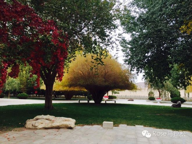 梦想穿过了西域 | 纪念丝路之上的敦煌马拉松