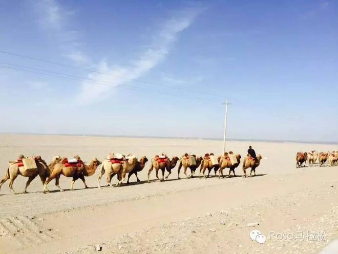 梦想穿过了西域 | 纪念丝路之上的敦煌马拉松