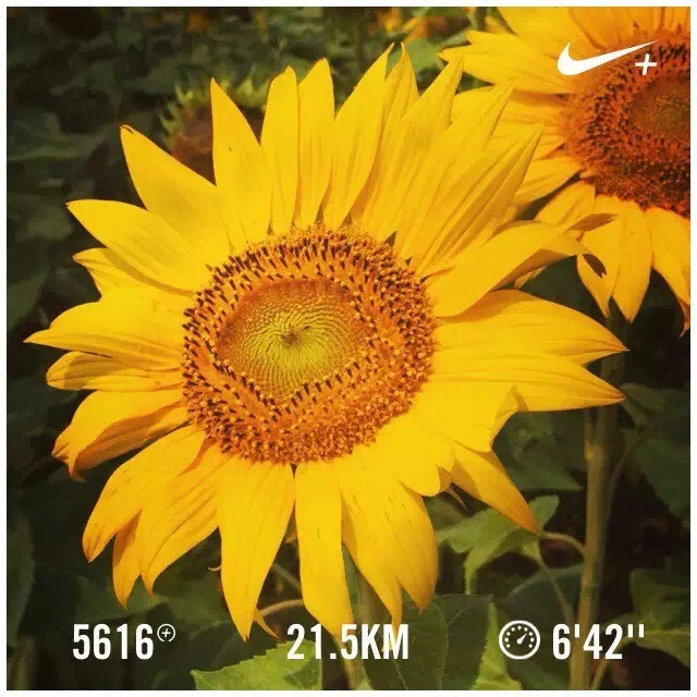 为我点赞 | 梦想没有终点，此处即为起点