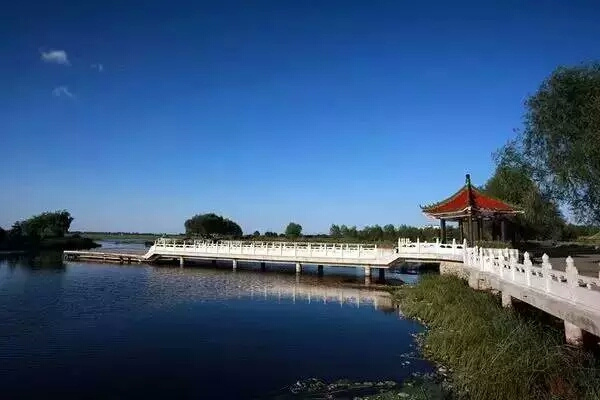 一场雕琢灵魂的穿梭——记我的沈阳马拉松