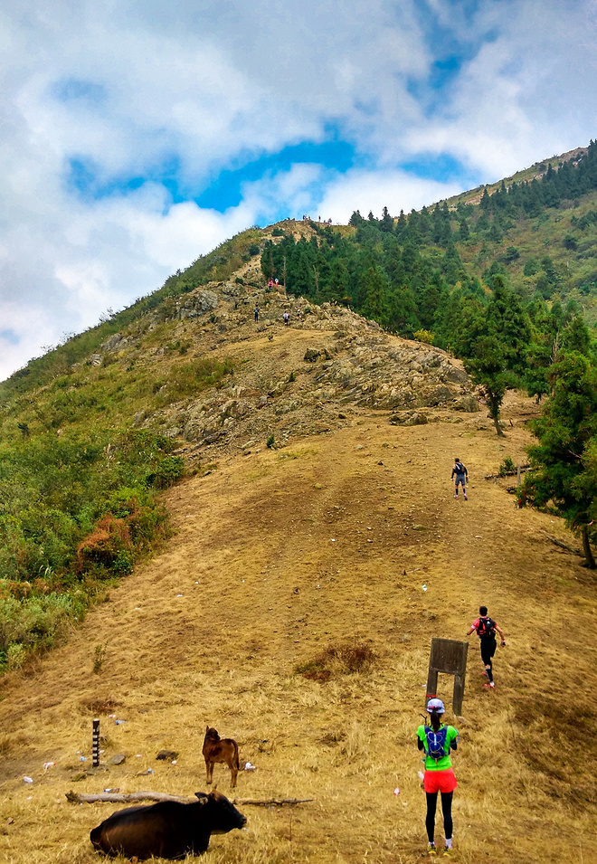 回国后心心念念的第一个比赛-宁海2015