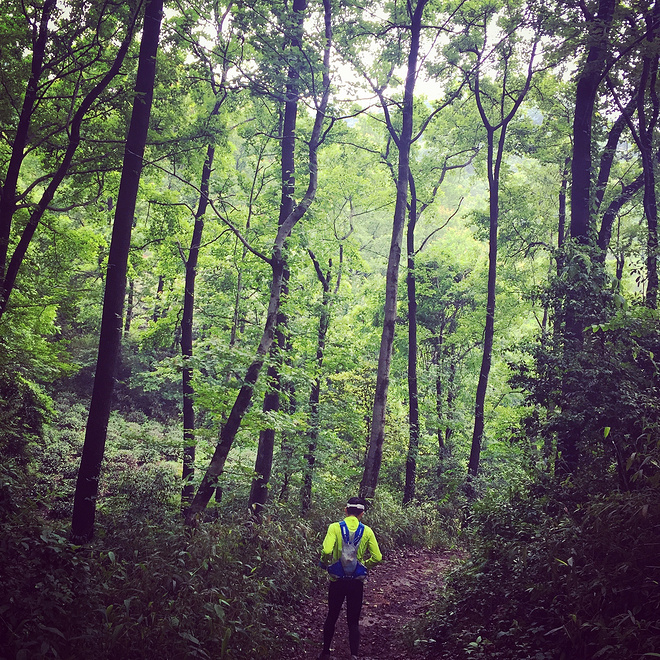 小王子和他的花—换一种方式来看“西野追狼”