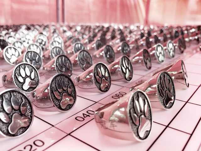 小王子和他的花—换一种方式来看“西野追狼”