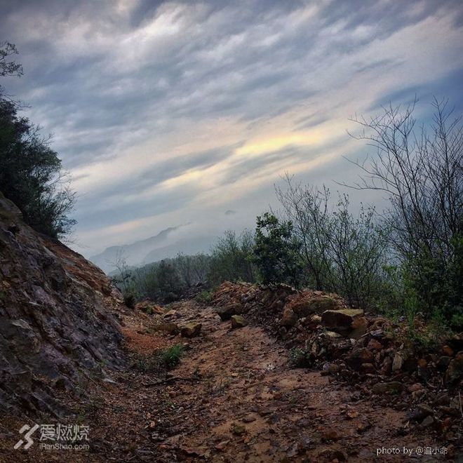 小王子和他的花—换一种方式来看“西野追狼”