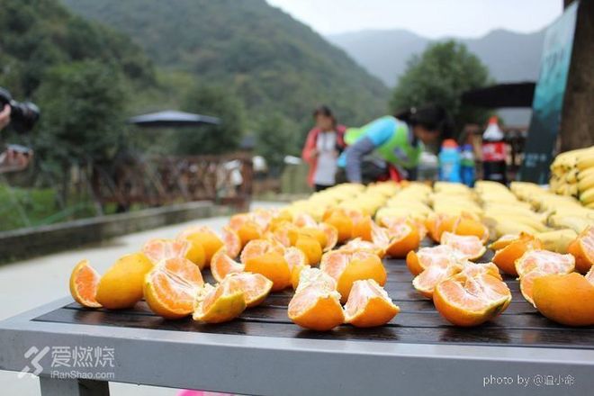 小王子和他的花—换一种方式来看“西野追狼”