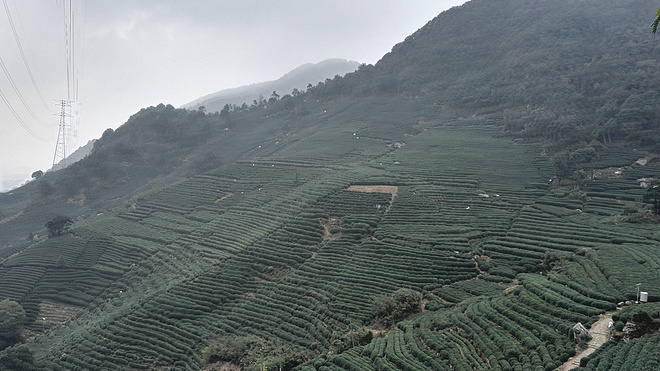 享受商务舱的感觉-记西野追狼越野赛