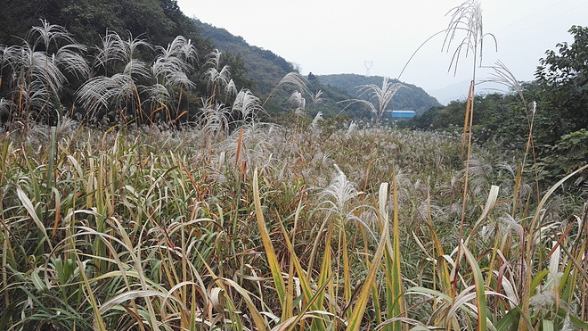 享受商务舱的感觉-记西野追狼越野赛