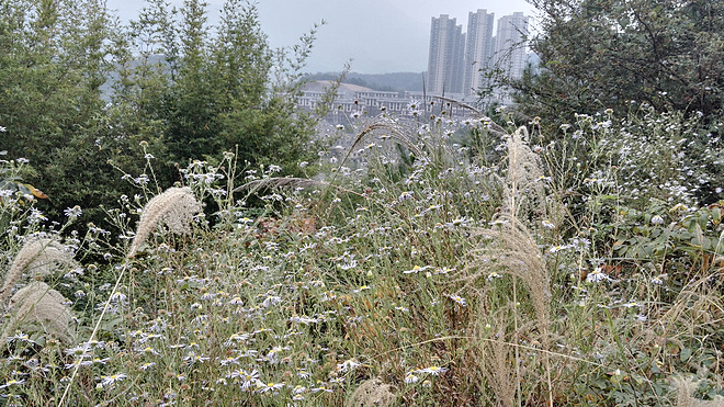 享受商务舱的感觉-记西野追狼越野赛