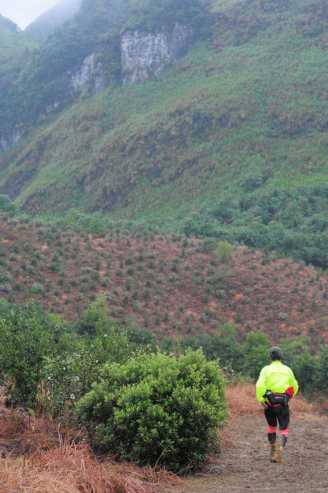 在雨中漫步，尝水中的味道