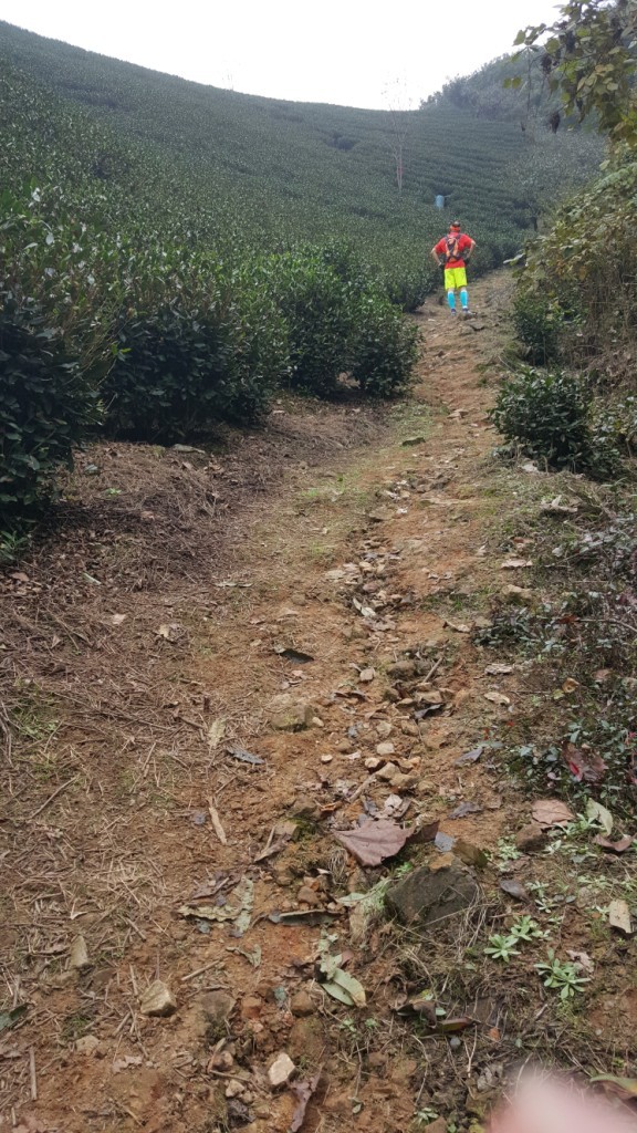 两个老男人的追狼之旅